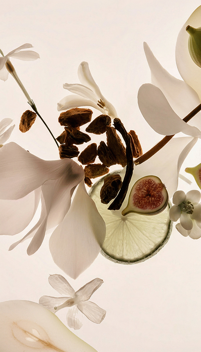 The Power of Fragrance